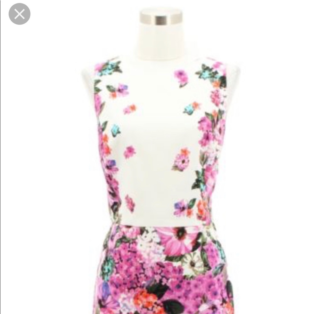 Maggy London Dress